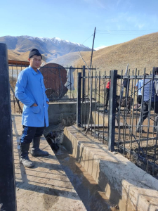 Чоң-Арык айылында койлорду жуутка салуу иштери жүрүүдө